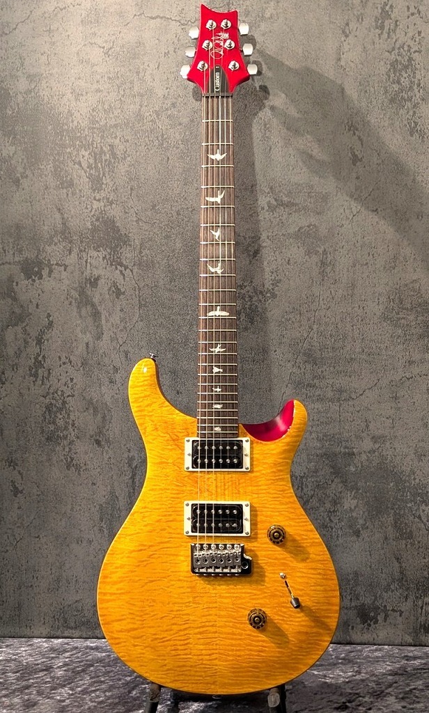 Paul Reed Smith(PRS) 【良杢個体】SE Custom 24 -Vintage Yellow