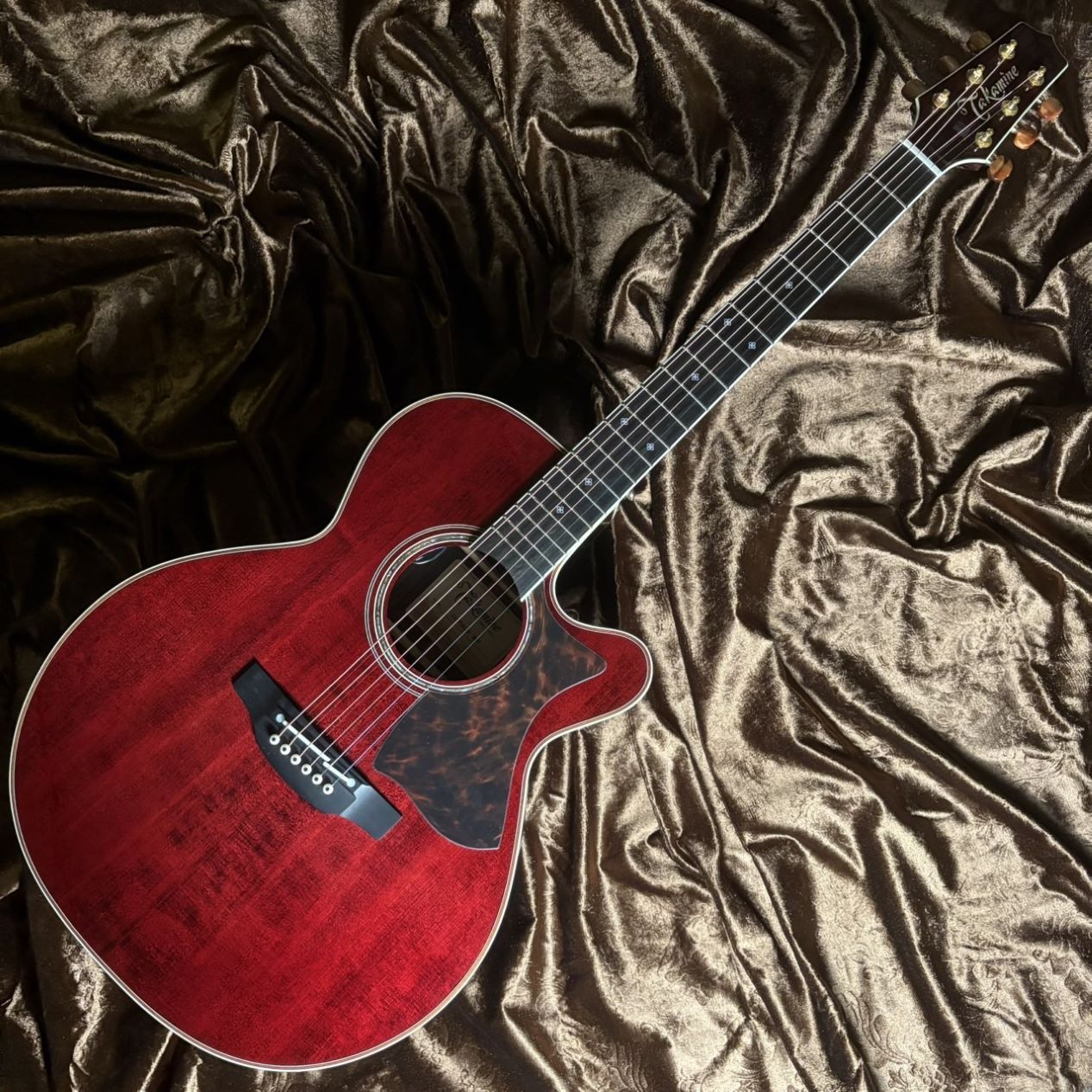 Takamine DMP50S WR（ワインレッド）【現物画像 / 当社限定モデル