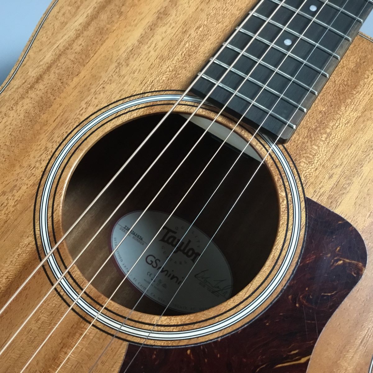 Taylor GS Mini Mahogany MH ミニギター 【現物画像】※傷写真あり