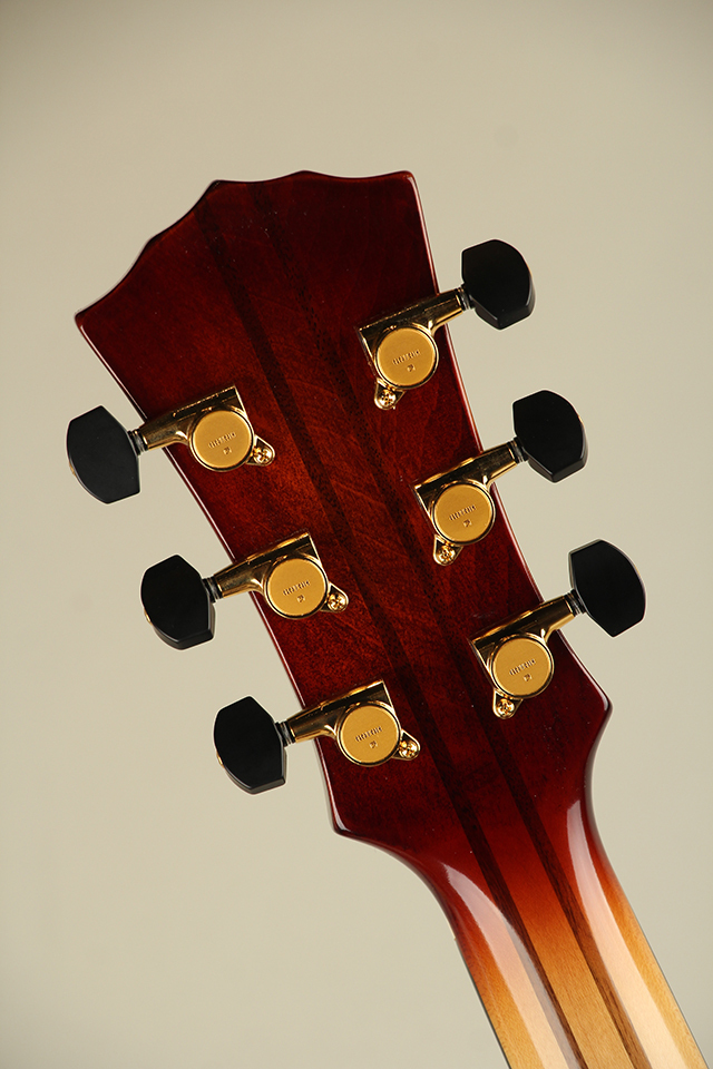 Landscape AR-201（新品）【楽器検索デジマート】