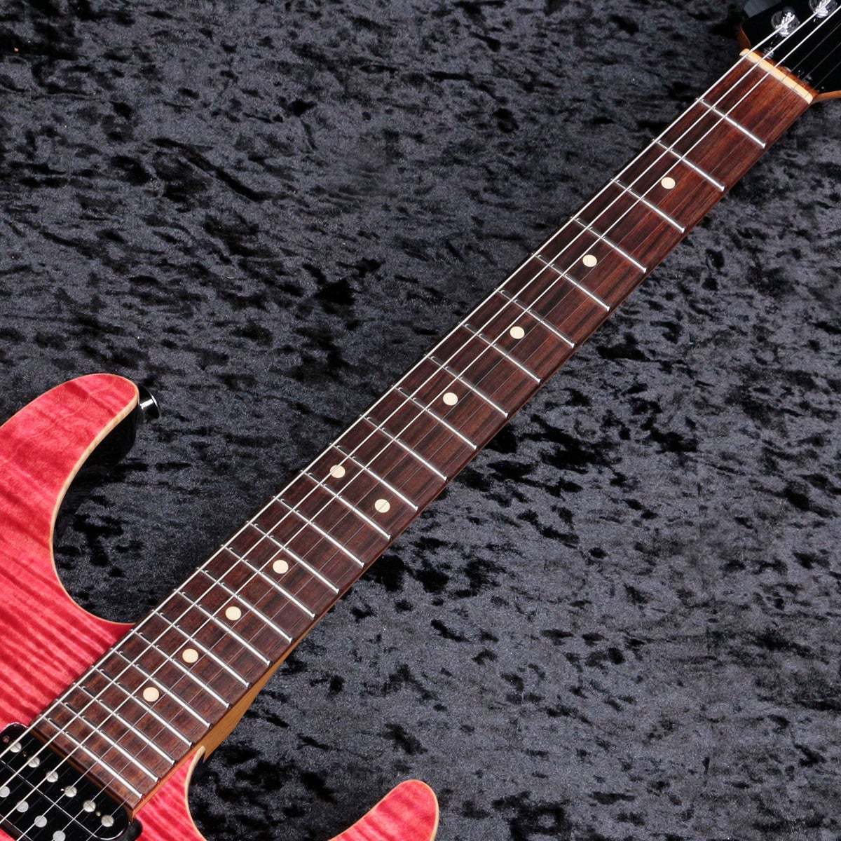 Suhr Modern Plus Roasted Maple Neck Rosewood Trans Burgundy 【新宿