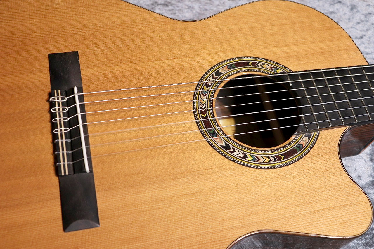 憧れの Orpheus Valley F65CW-7S【激エモ7弦エレガット】【良生 Guitars その他