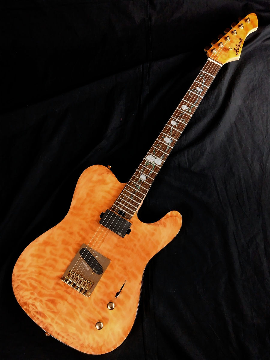 Aria Pro 日本製 natural Aria Pro II TEG-780 N (Natural) 【特価】【限定モデル】（新品