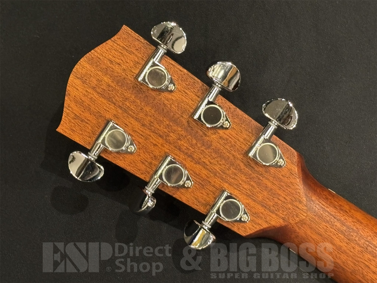 Eastman PCH1-GACE-CLA（新品/送料無料）【楽器検索デジマート】