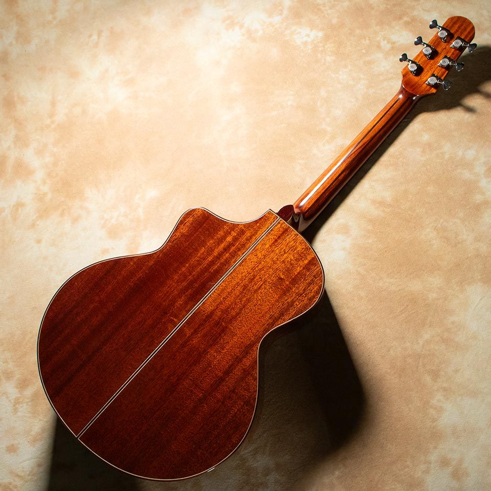 NATASHA CAT（新品/送料無料）【楽器検索デジマート】