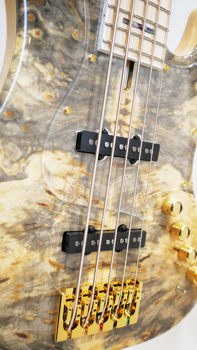 Phoenix Bomber Bass / BB-5 Buckeye Burl Custom（新品）【楽器検索