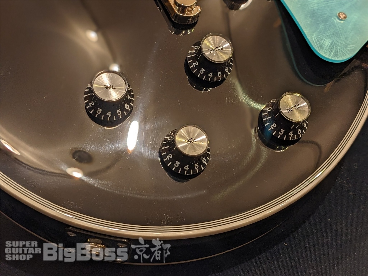 EDWARDS E-LP-CTM / JS（新品/送料無料）【楽器検索デジマート】