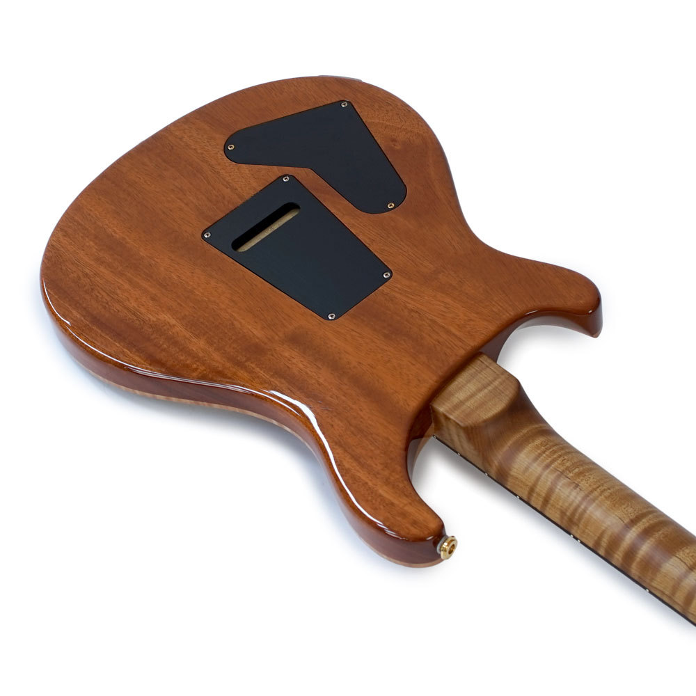 Paul Reed Smith(PRS) 【中古】 PRS Special 22 Semi-Hollow Wood