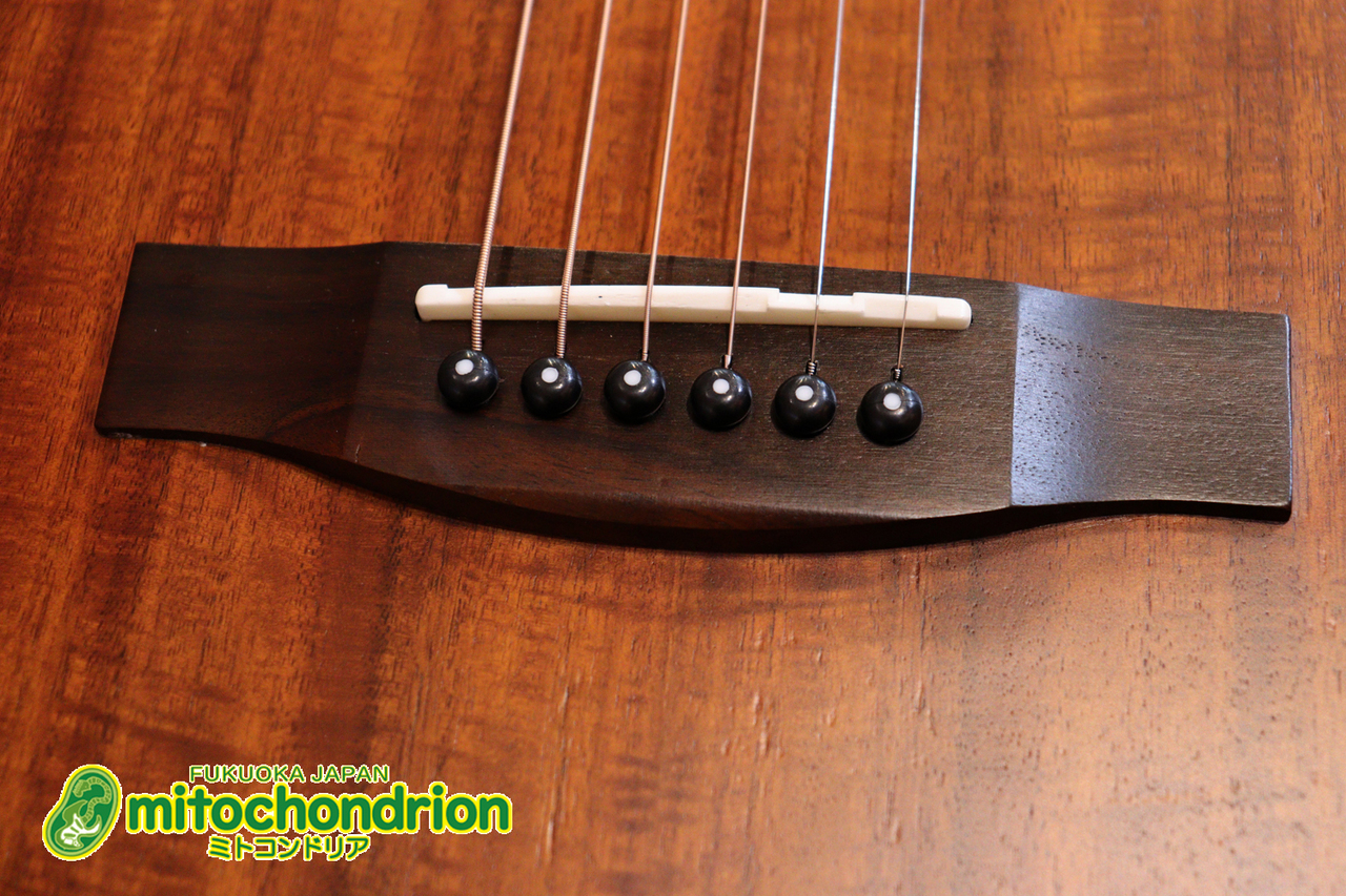 ARIA AF-107KACE / Natural, Open Pore, Matt（新品特価）【楽器検索