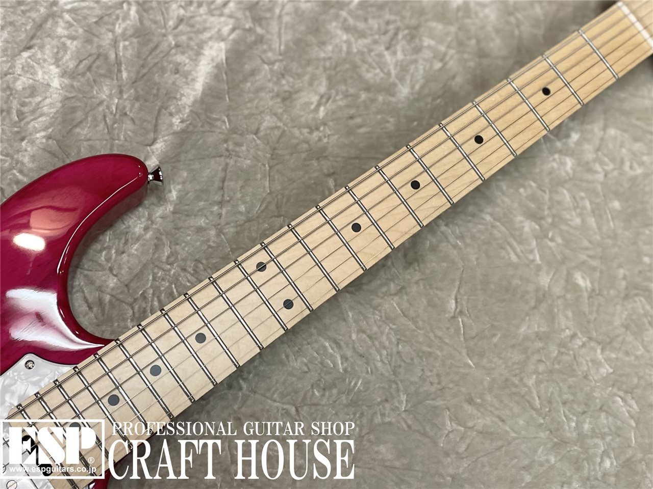 EDWARDS E-SNAPPER-AS/M / See Thru Pink（新品/送料無料）【楽器検索