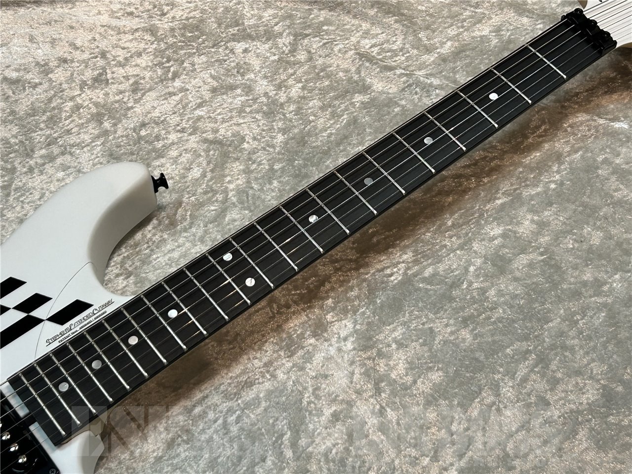 Washburn N4 GWH（新品/送料無料）【楽器検索デジマート】
