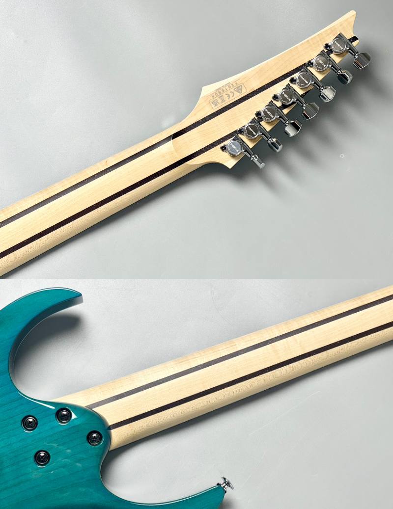 Ibanez 【Spalted Maple Top】【葉月(HAZUKI)Model】HZK1 #F2616605