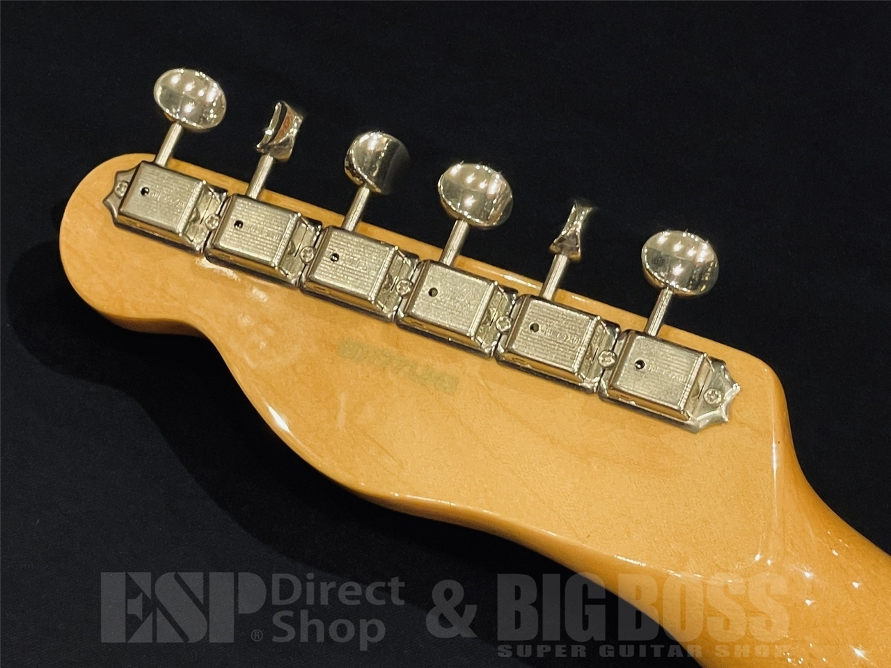 EDWARDS E-TE-ASM / Vintage Natural（新品/送料無料）【楽器検索