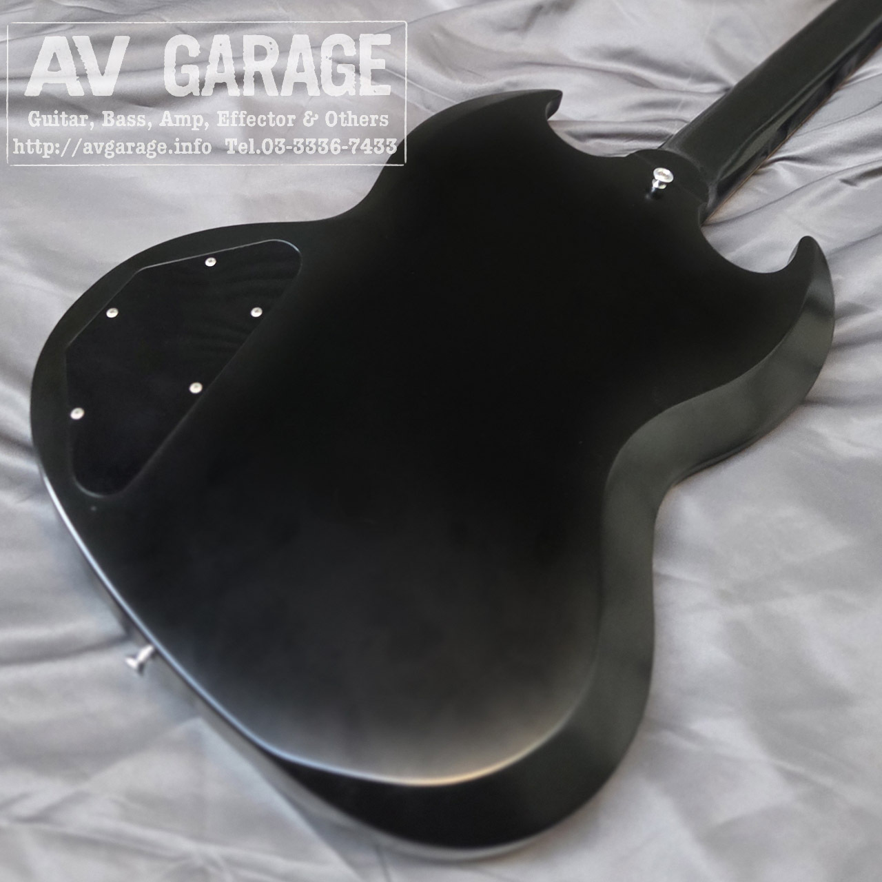 EDWARDS E-SG-100LT2（中古）【楽器検索デジマート】