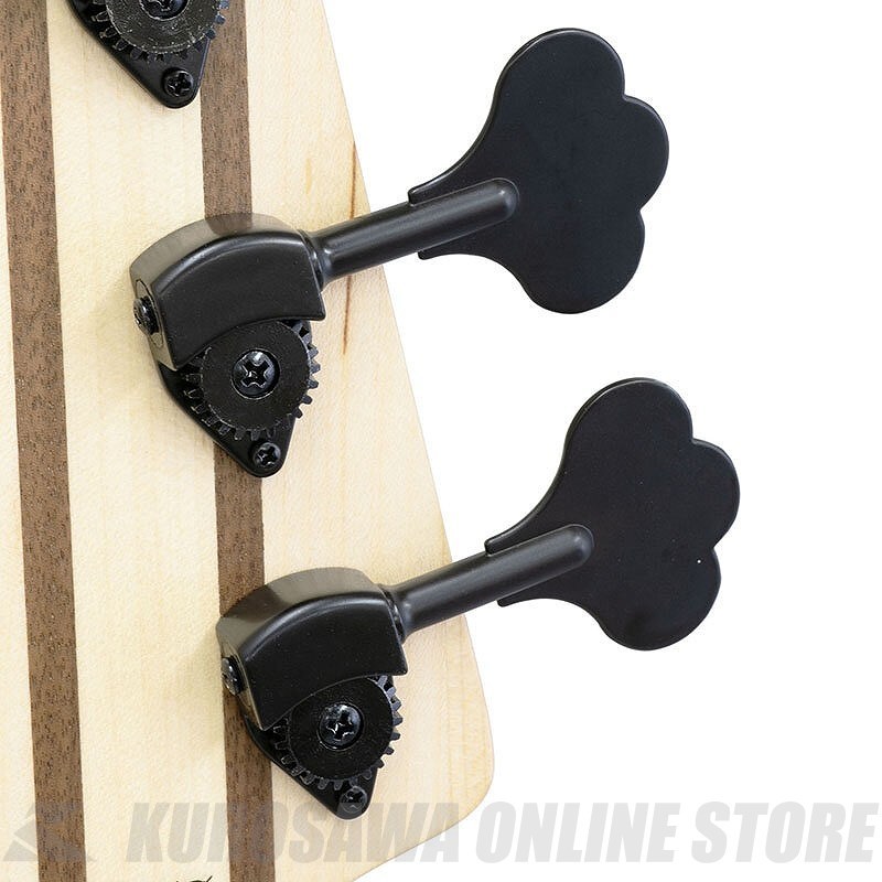 Aria Pro II RSB-700WP SBK RSB エレクトリックベース（新品）【楽器