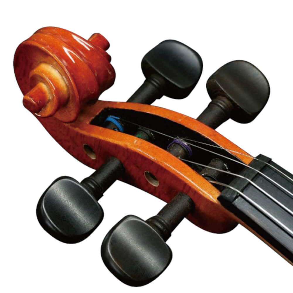 STENTOR SV-120 バイオリン 3/4サイズ 【ケース、弓、松脂付き】（新品