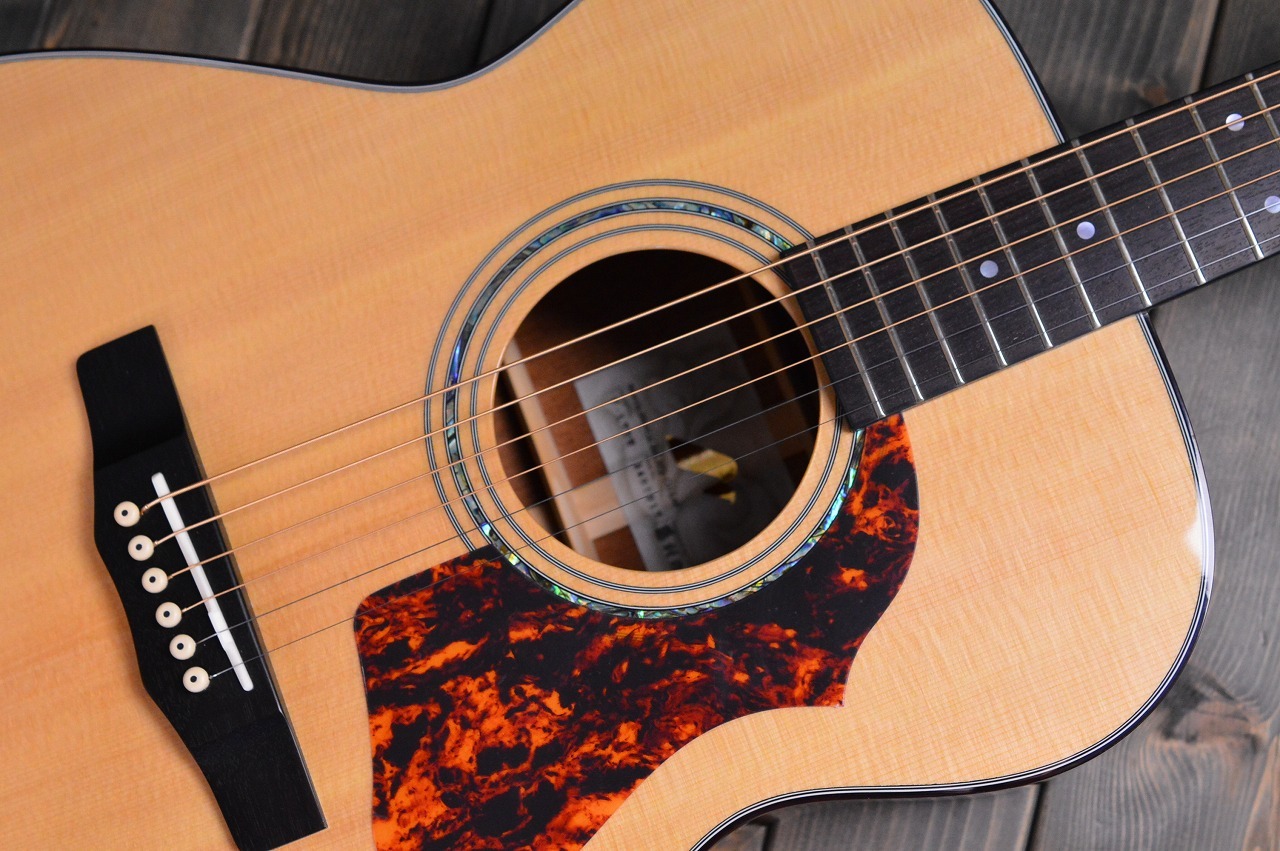 Morris F-LTDII（新品/送料無料）【楽器検索デジマート】