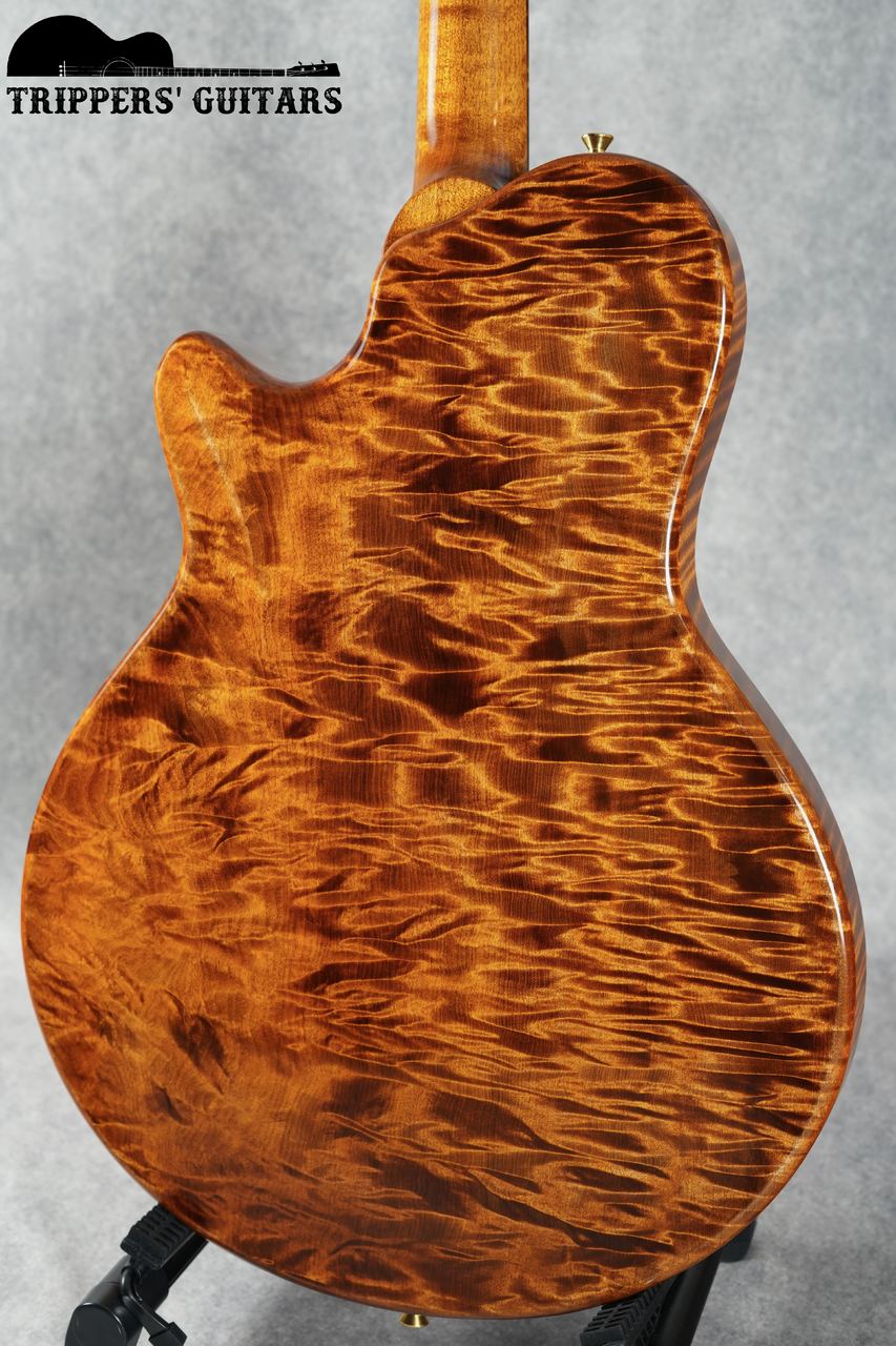 Nishigaki Guitars Arcus Style-N (2024)（中古）【楽器検索