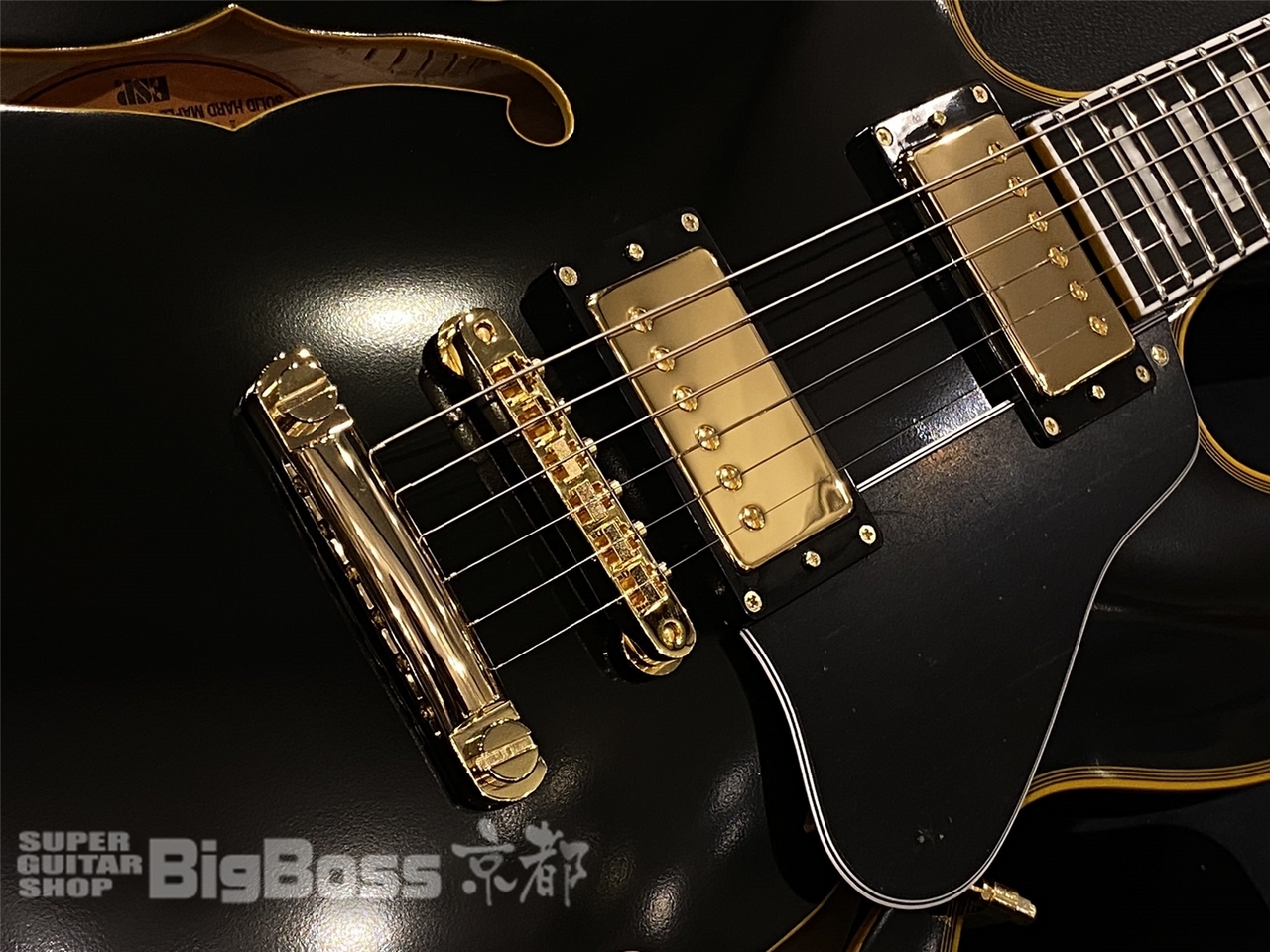 【hirosn07】EDWARDS（エドワーズ） E-SA-CT M E-SA-CTM | ESP GUITARS