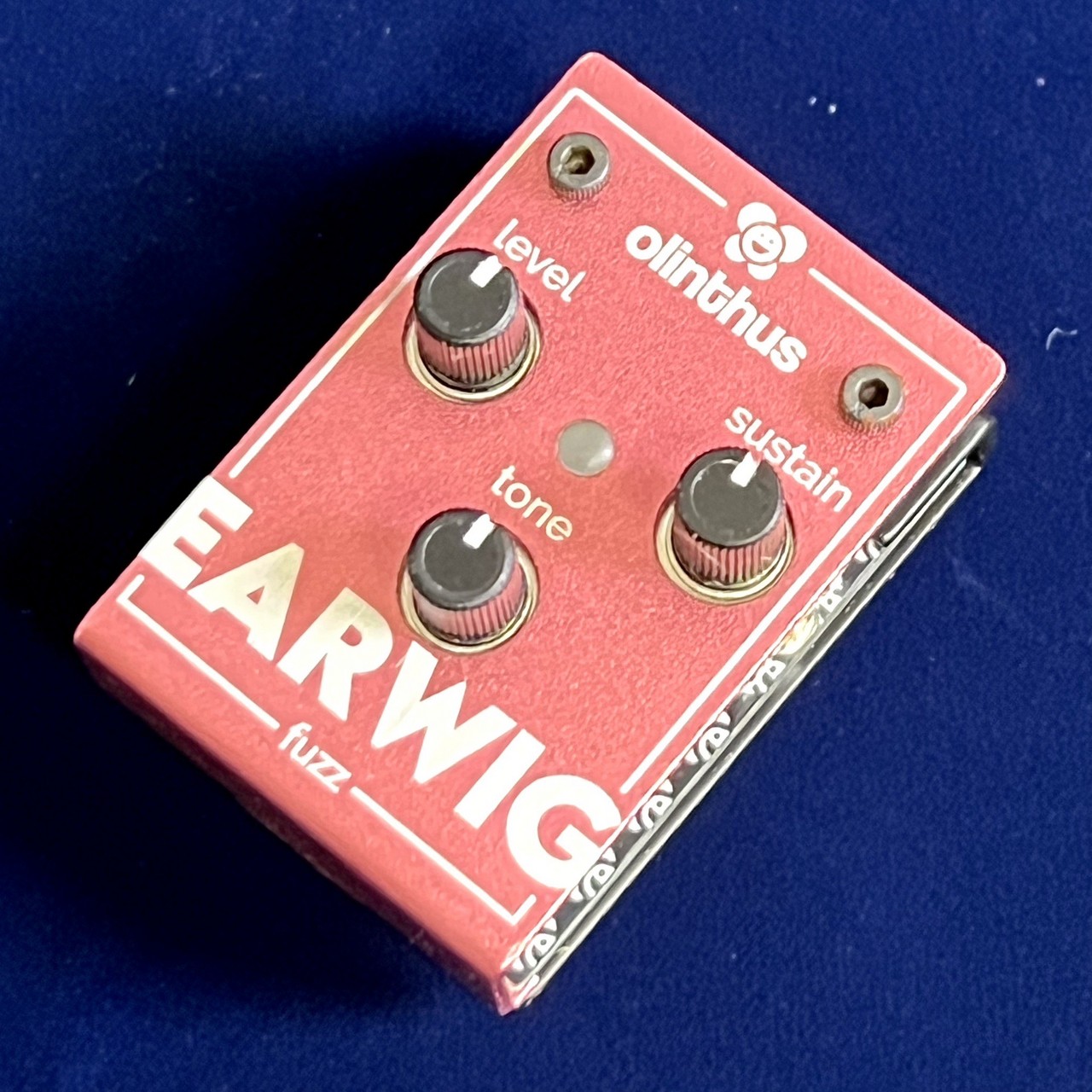 Olinthus EARWIG（新品）【楽器検索デジマート】