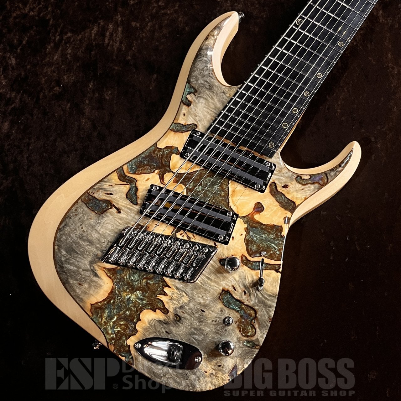 ESP オーダーメードギター　ギグケース付き ESP オーダーメードギター ギグケース付き