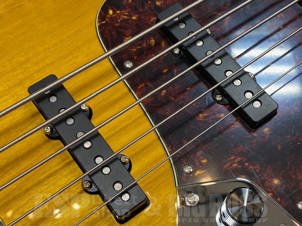 Kikuchi Guitars Hermes RV5 【TCB】（新品/送料無料）【楽器検索