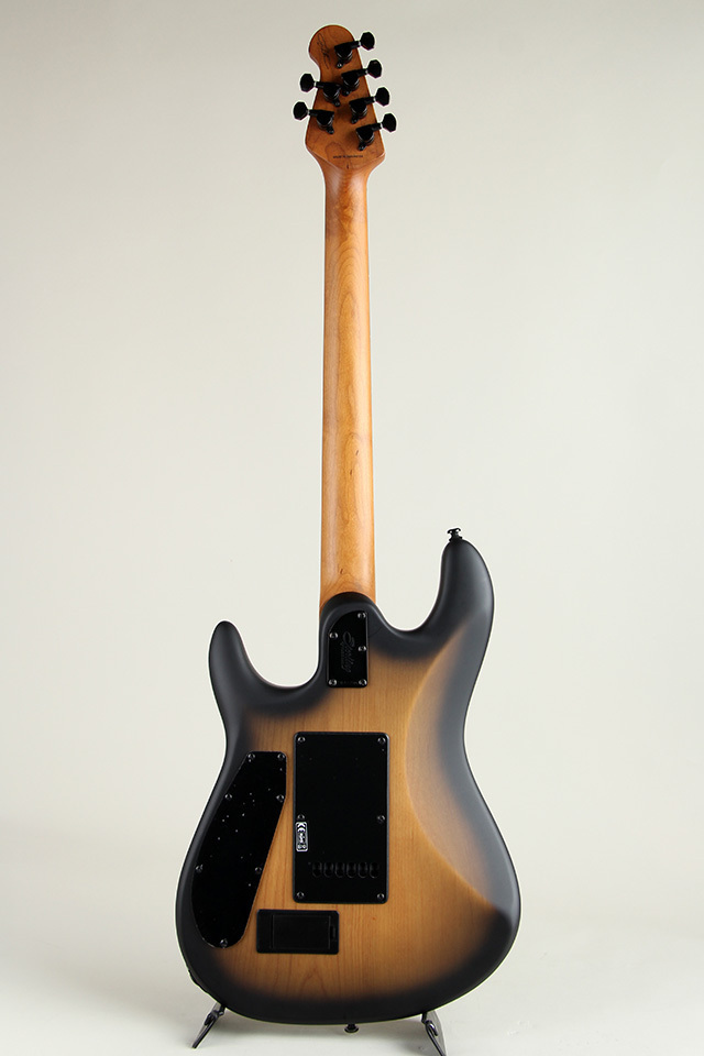 Sterling by MUSIC MAN Richardson6 Natural Poplar Burl Burst（新品