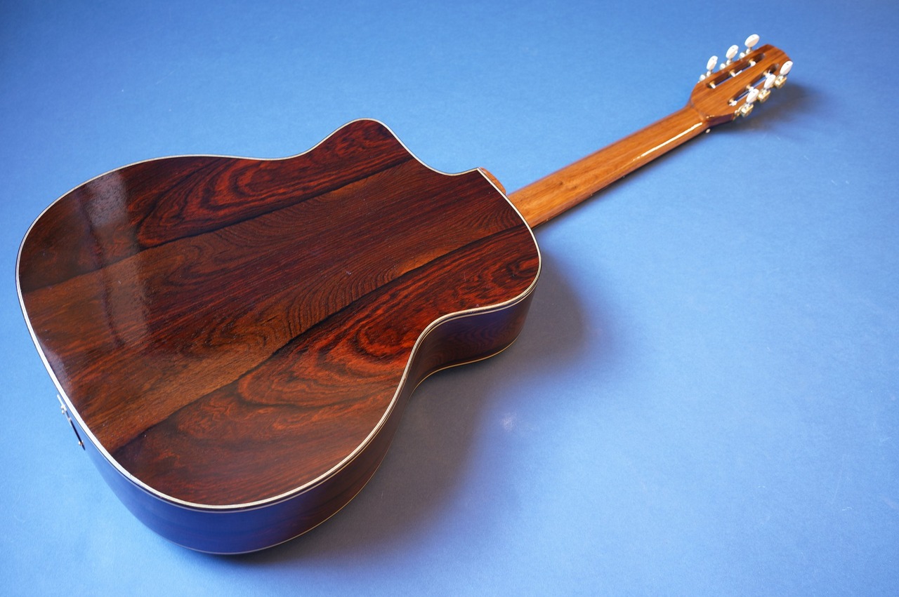 Stringphonic Advanced Oval 10th Anniversary（新品/送料無料）【楽器