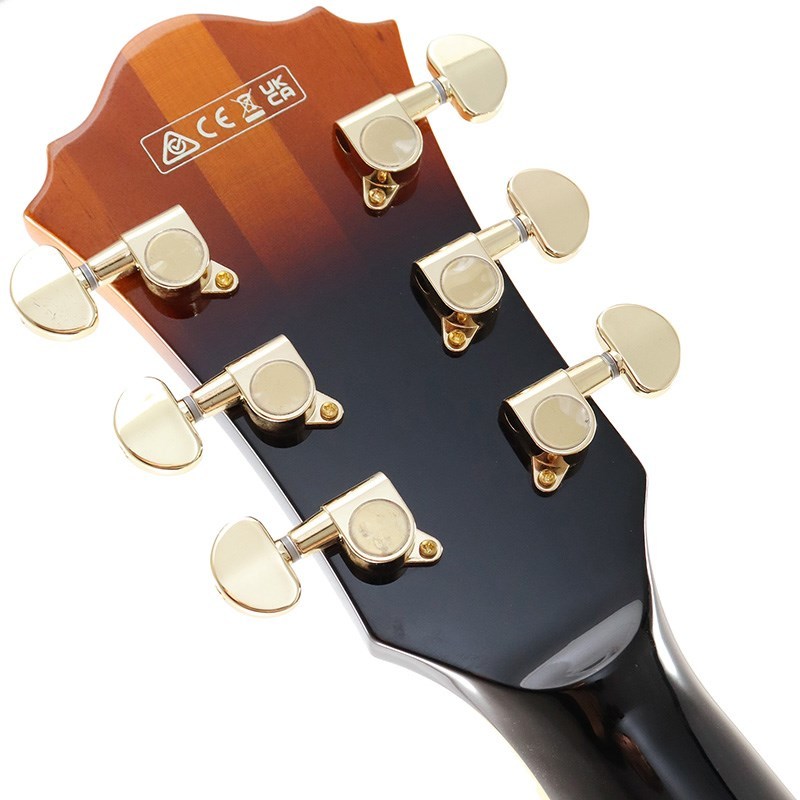 Ibanez Artcore Expressionist AF95-BS（新品）【楽器検索デジマート】