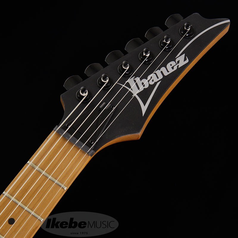 Ibanez アイバニーズ RG421HPAM ABL Amazon | Ibanez RG421HPAM エレキギター アイバニーズ | エレキ