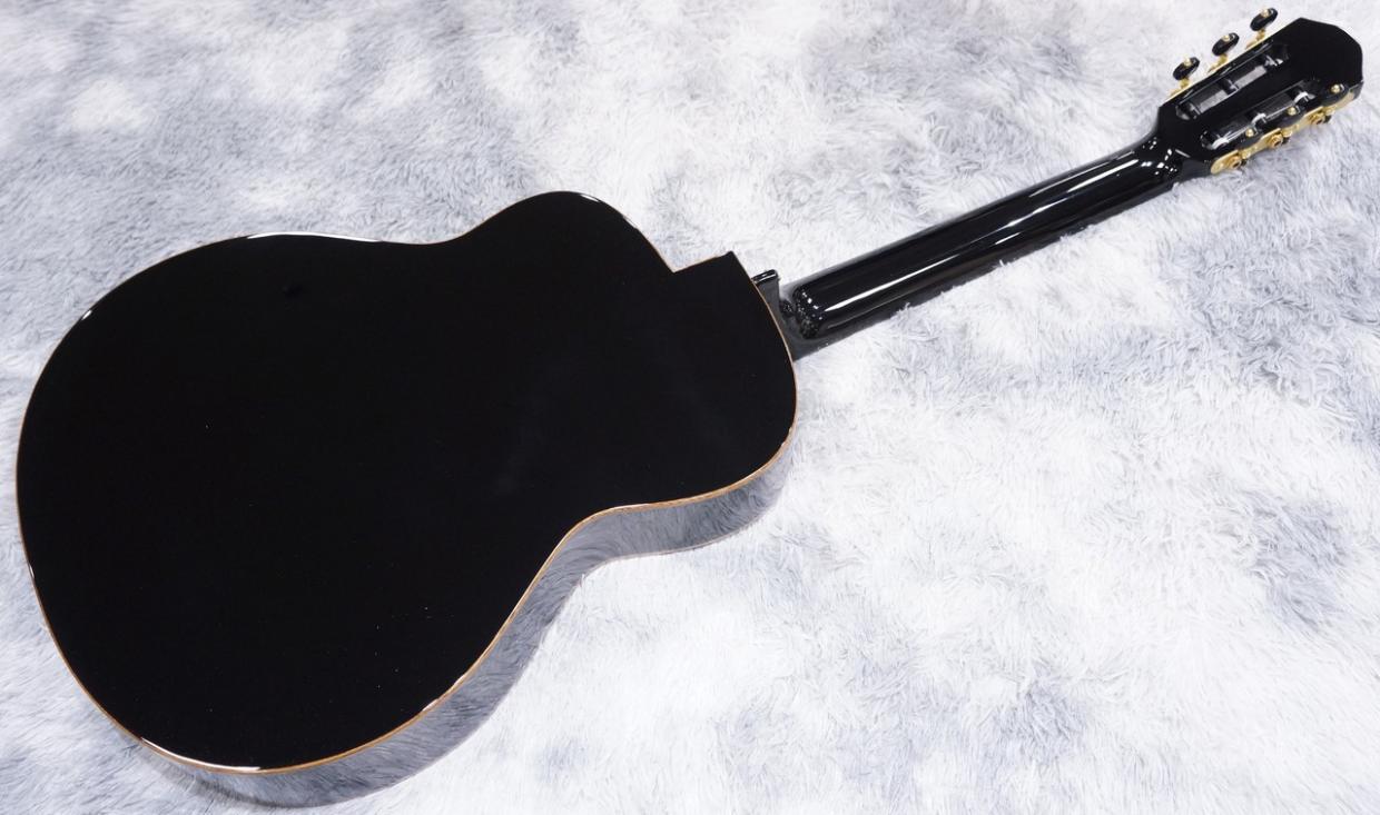 aNueNue aNN-LN77E（新品/送料無料）【楽器検索デジマート】