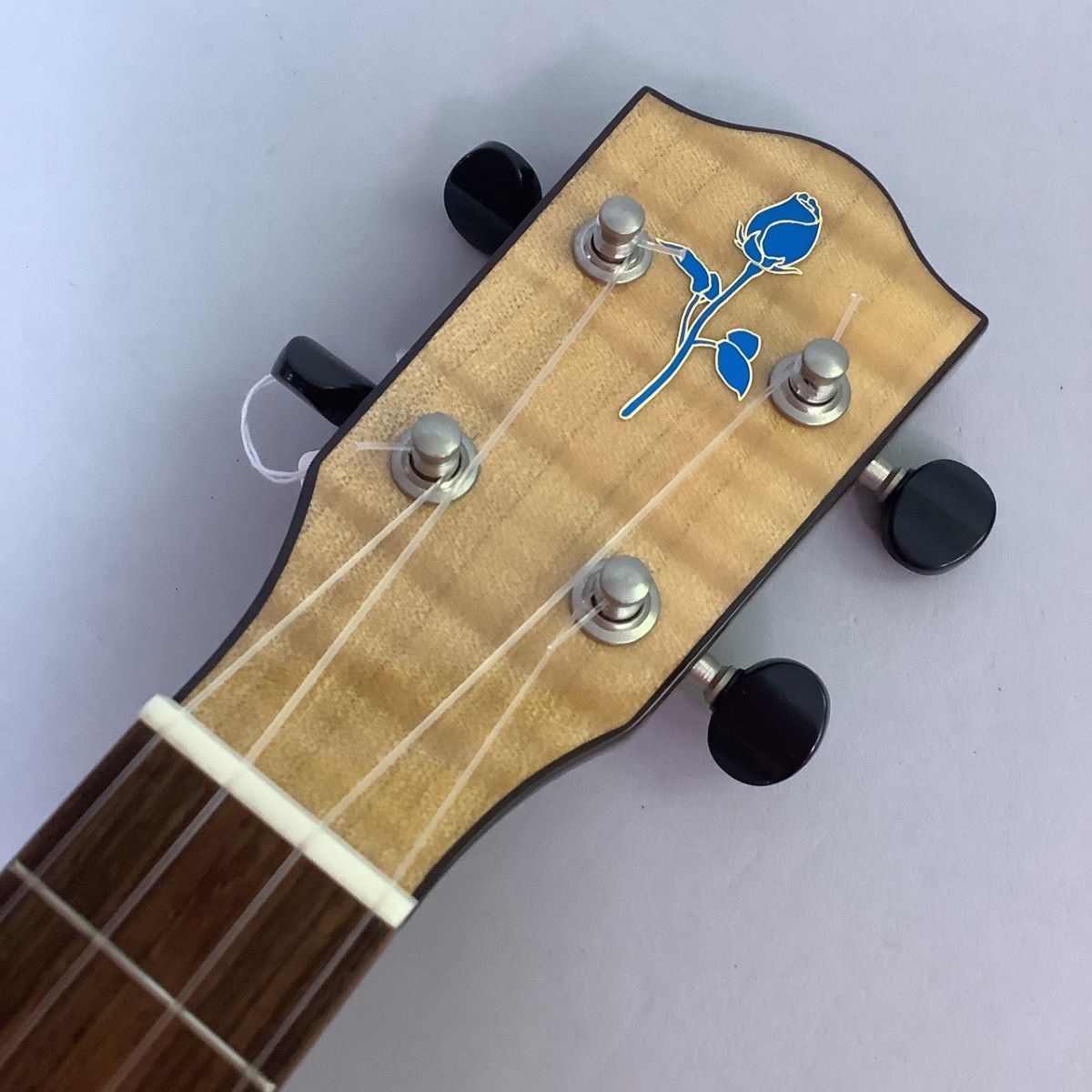 FUJIGEN(FGN) FUE-TS/T（中古/送料無料）【楽器検索デジマート】