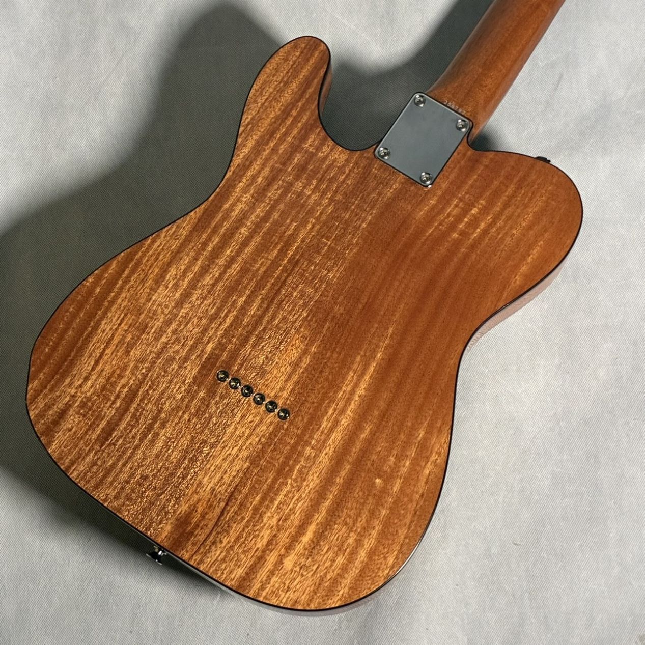 Tokai ATE103S（新品/送料無料）【楽器検索デジマート】