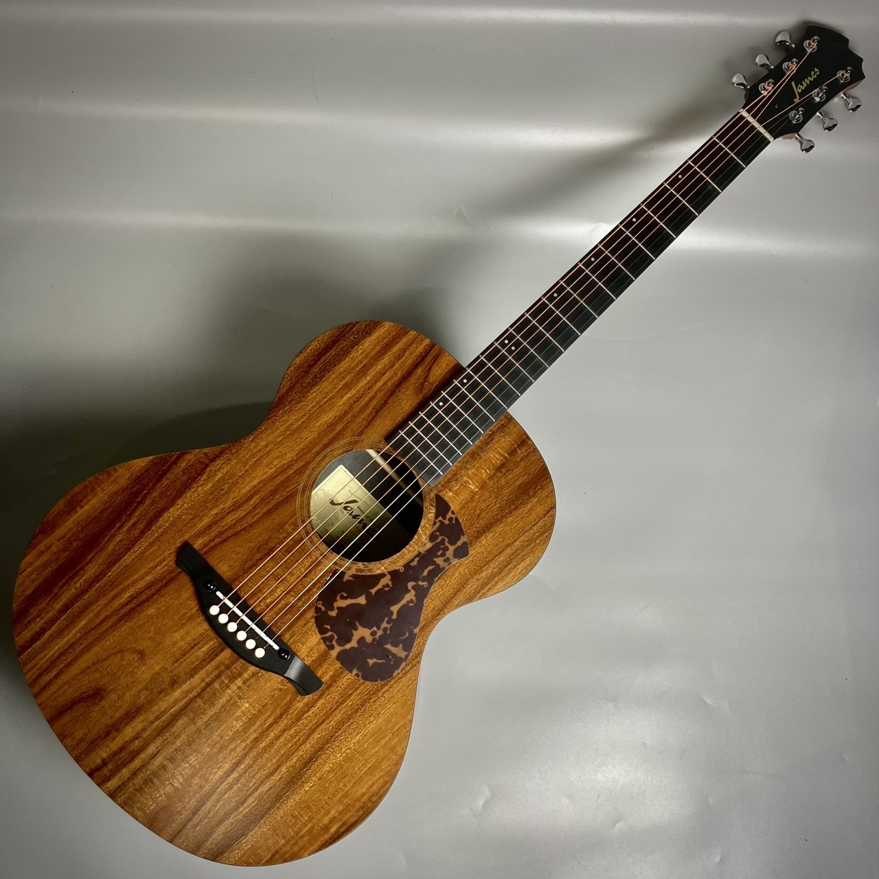 James J-100A MHT アコースティックギター ギグケース付属