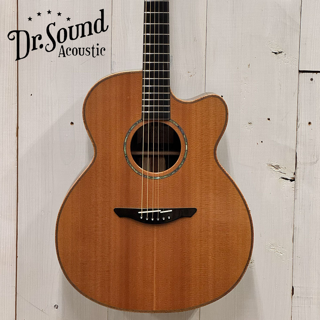 AVALON Guitars 【決算大特価品 2/1～2/28】L2-800C 《Brazilian