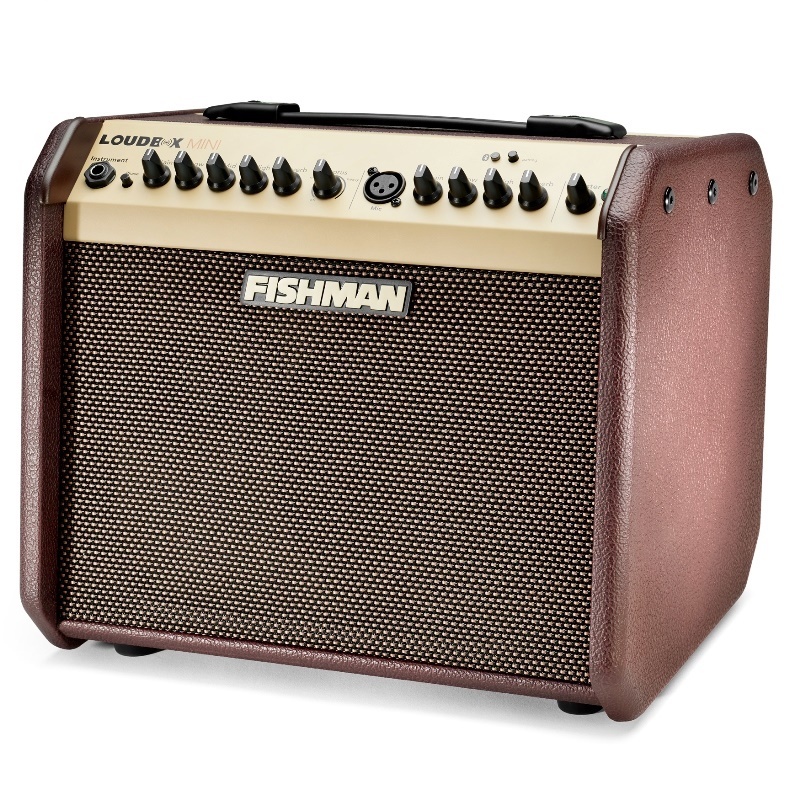 アンモライト　タンブル　D FISHMAN Loudbox Mini Bluetooth 【特価】【エレアコ用アンプ