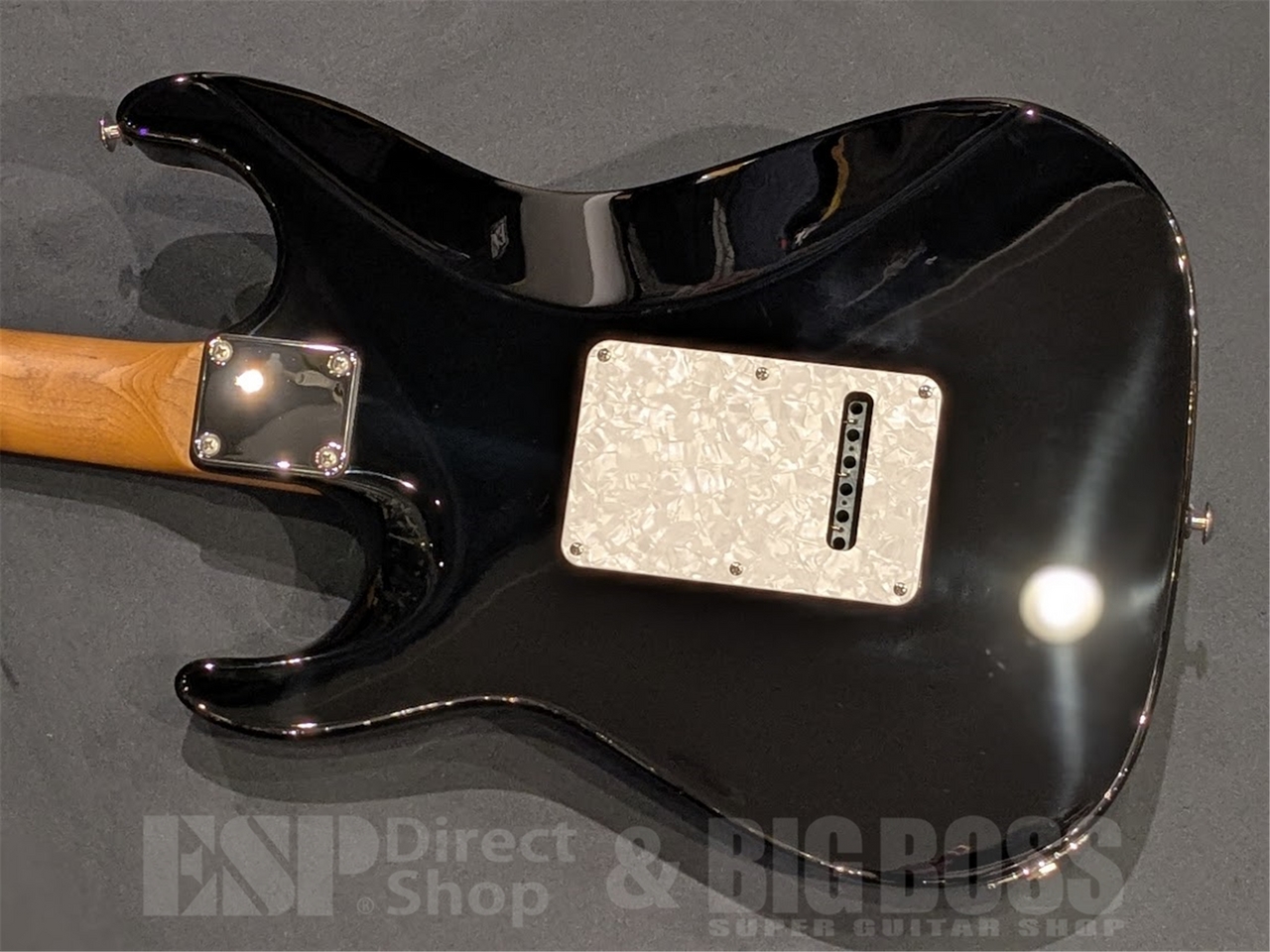 Suhr Standard Plus / Bengal Burst / Pau Ferro 【値上がり前最後の一