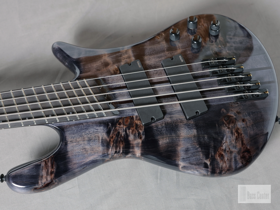 Spector NS Dimension MS 5 Gloss EE Translucent Black【5弦