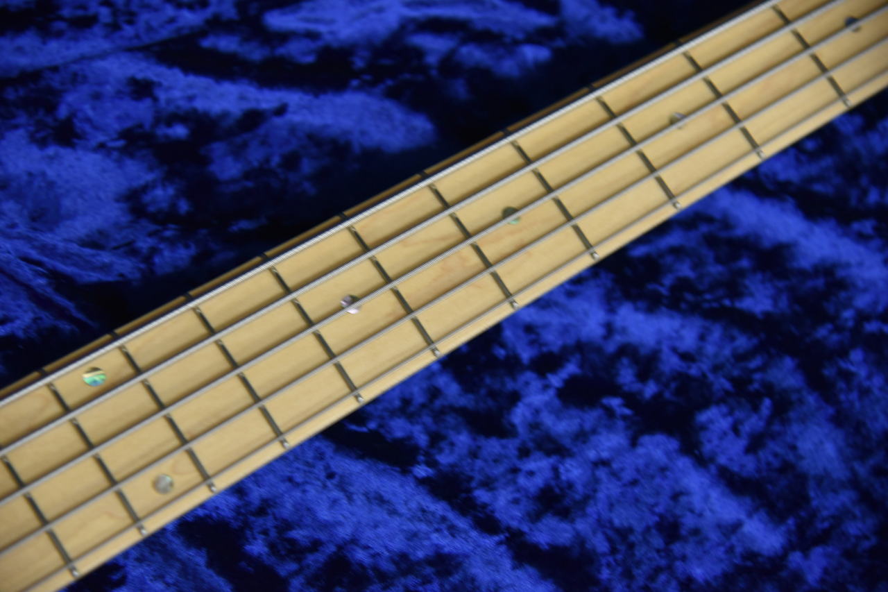 【美品】Edwards E-T-170BD ラルク tetsuya おまけ多数 美品】Edwards E-T-170BD ラルク tetsuya おまけ多数 EDWARDS