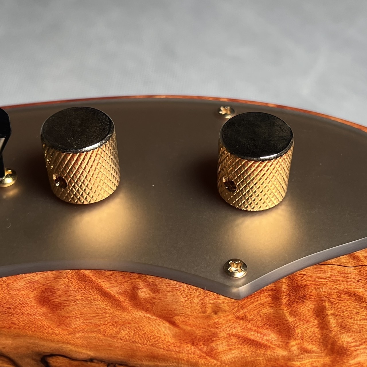 momose MT-HOLLOW-ST/E #19525【現物画像】ギタラバ東京モデル