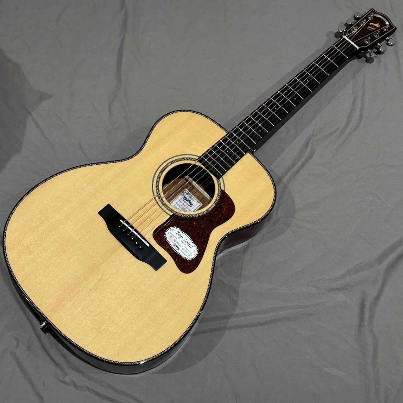 Headway HD-5080SE エレアコ Headway HJ-5080SE SB エレアコギター Japan Tune-up Series