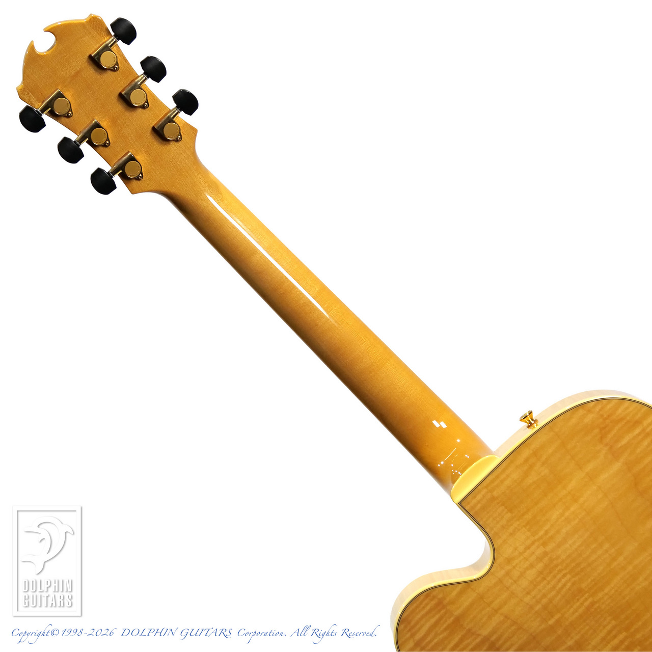 D'Aquisto DQ-JZ Jazz Line【36回無金利対象品】（中古）【楽器検索
