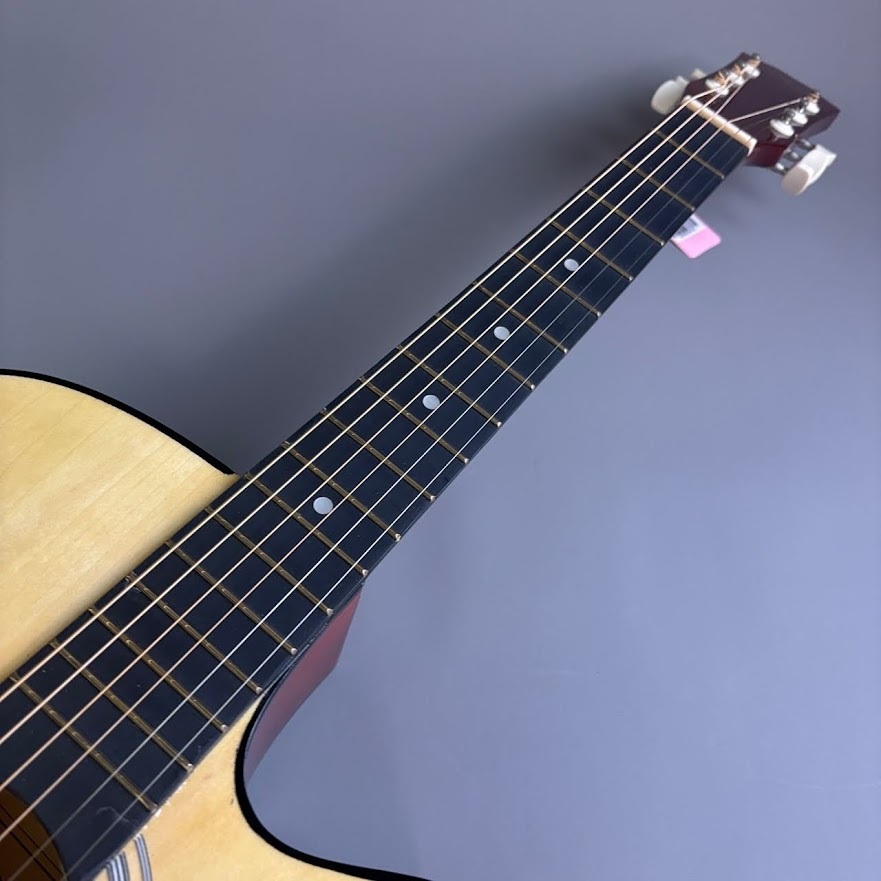 楽器・機材 Chelldee アコースティックギター グラフィティデザイン