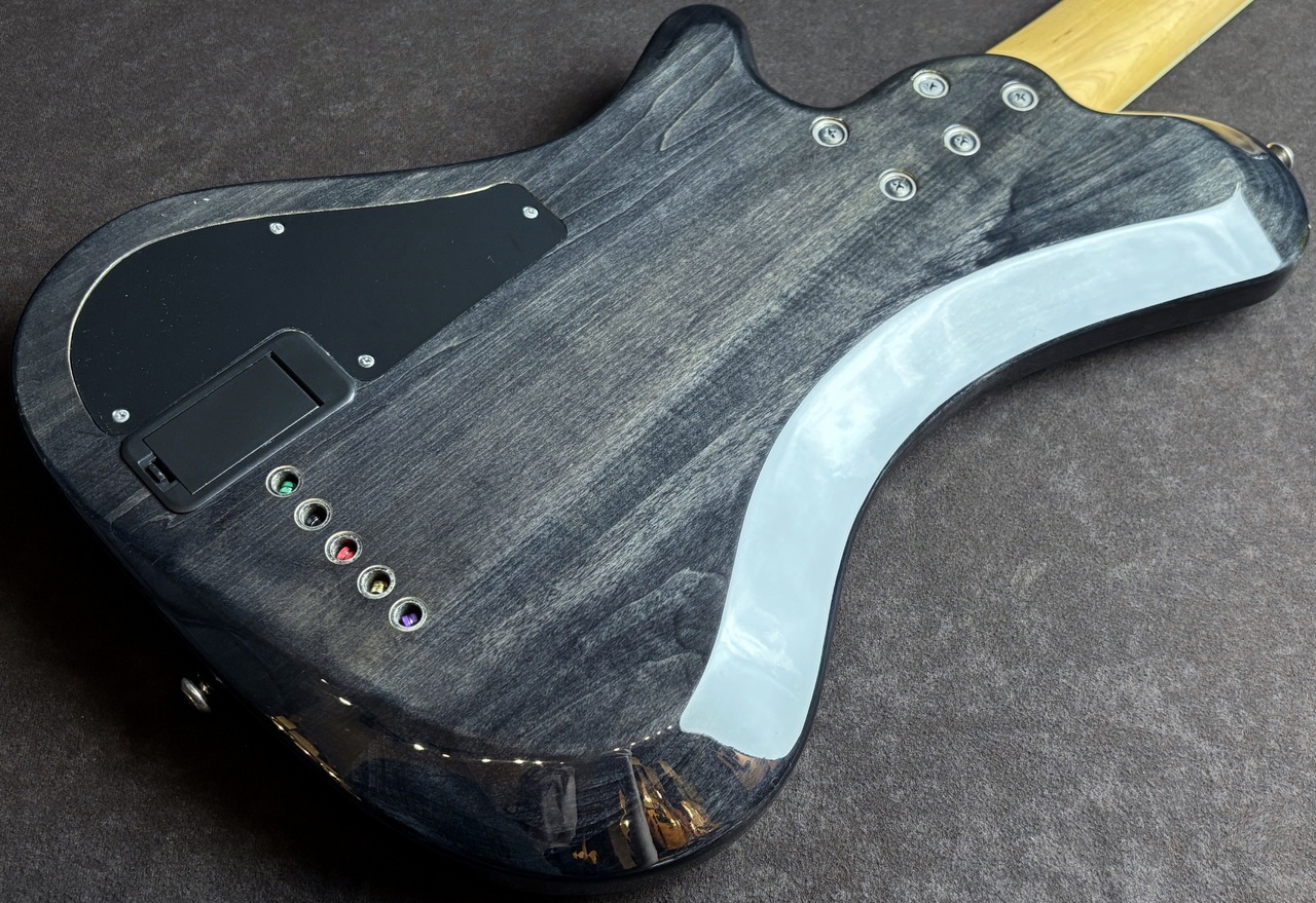 Kraken Champ 5（中古）【楽器検索デジマート】