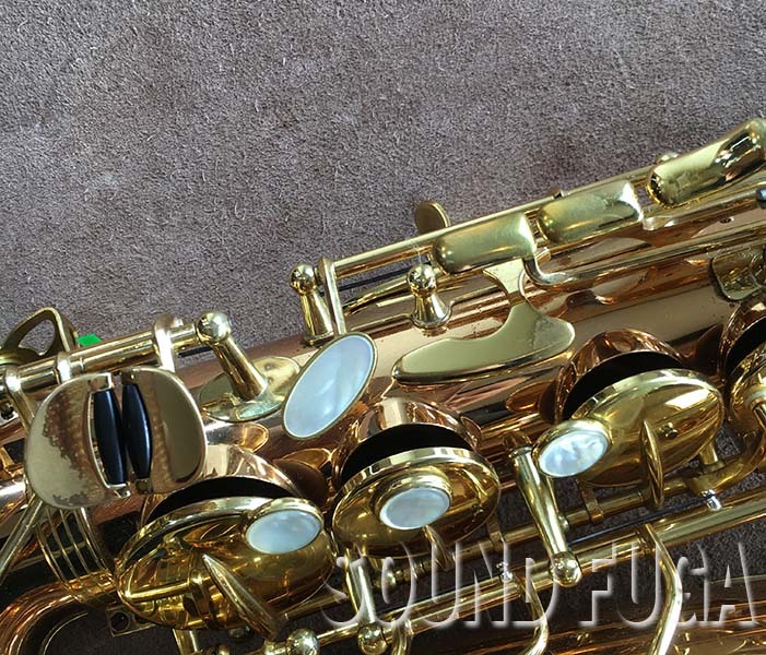 YANAGISAWA YANAGISAWA A-WO20 ブロンズ上位現行モデル アルト