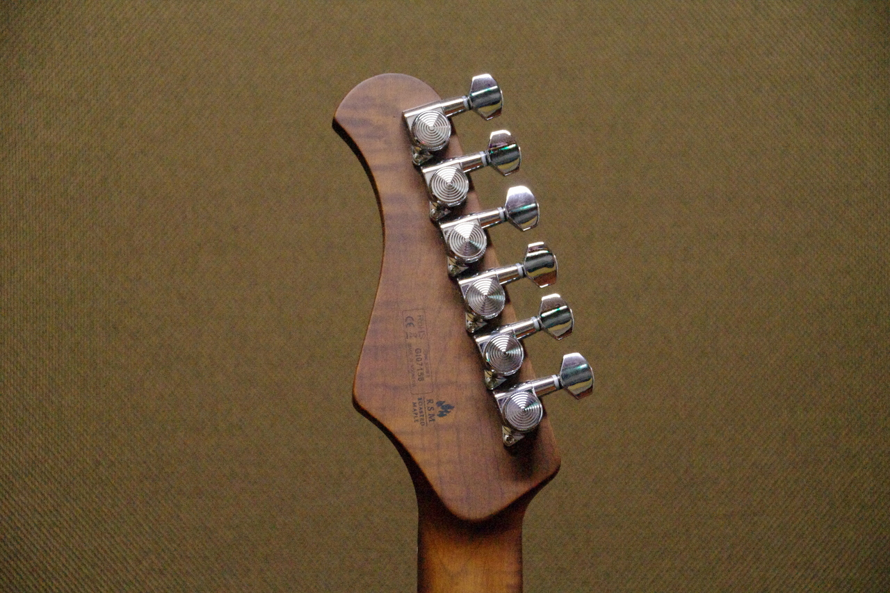 Bacchus GIN-FORCE/RSM（新品/送料無料）【楽器検索デジマート】