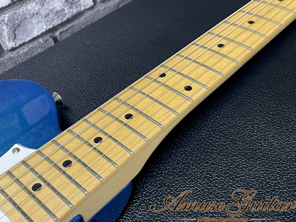 FUJIGEN(FGN) BIL-M/TBS/01 # Transparent Blue Sunburst 2019年