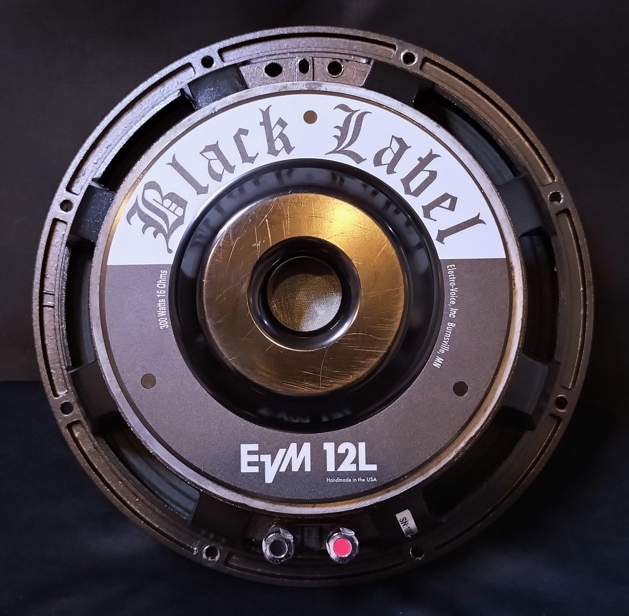 Electro-Voice EVM 12L Black Label Zakk Wylde Signature Electro-Voice EVM 12L Black Label Zakk Wylde Signature