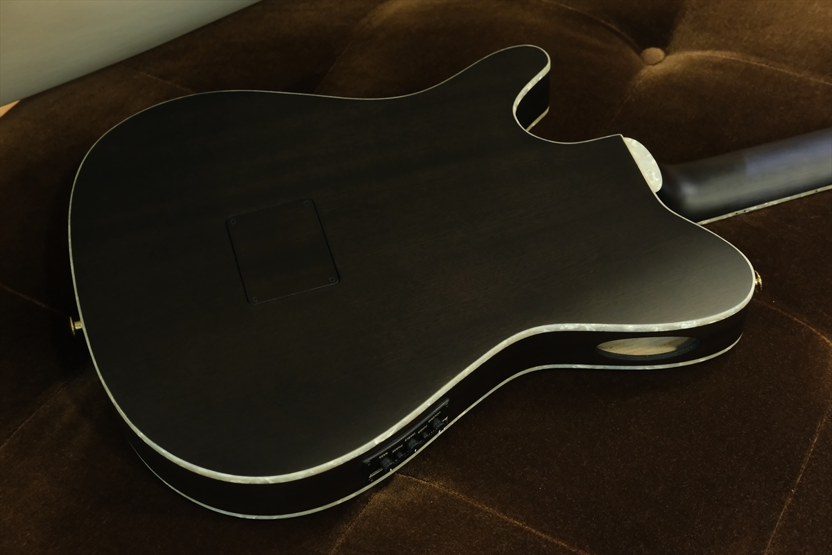 Ibanez TOD10N エレガット ナイロン エレキギター IBANEZ TOD10N-TKF Tim Henson Signature Model ナイロン弦