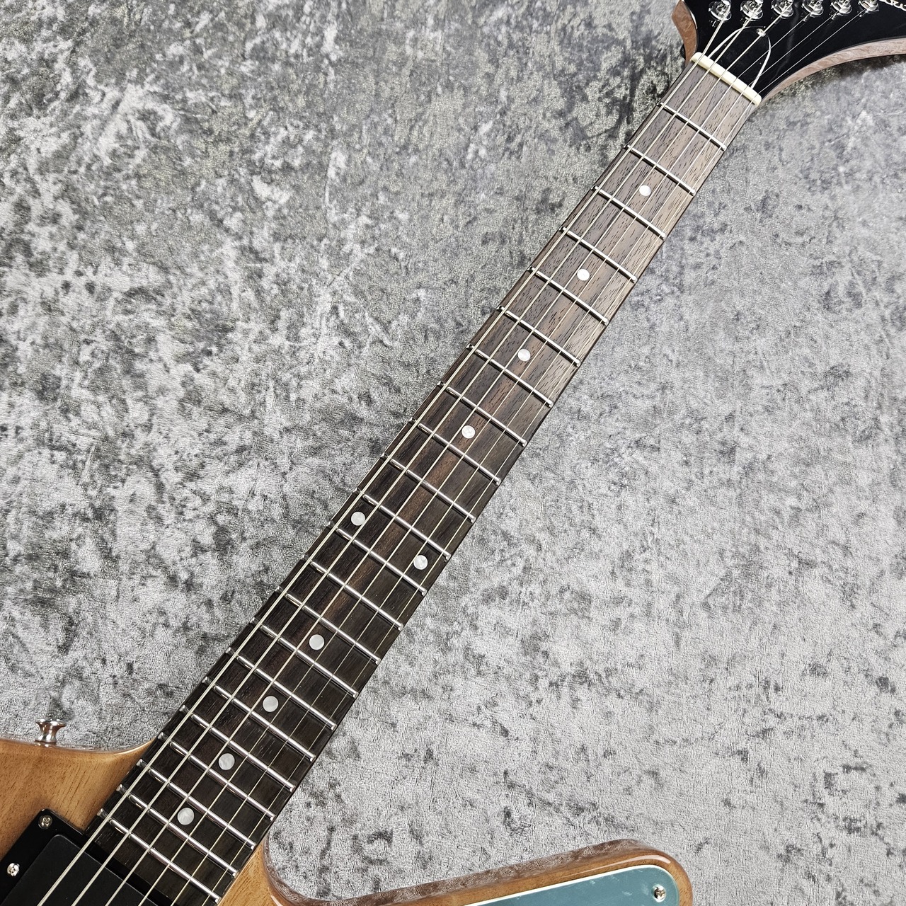 EDWARDS E-EX-CTM EMG -Natural-【限定生産モデル!】（新品）【楽器